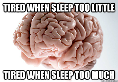 tired when sleep too little tired when sleep too much  Caption 4 goes here  Scumbag Brain