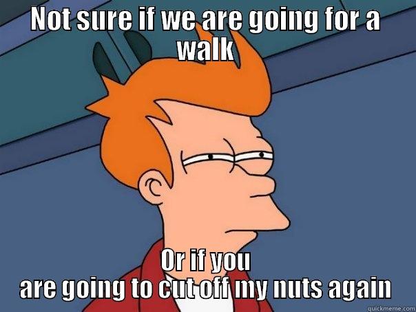 NOT SURE IF WE ARE GOING FOR A WALK OR IF YOU ARE GOING TO CUT OFF MY NUTS AGAIN Futurama Fry