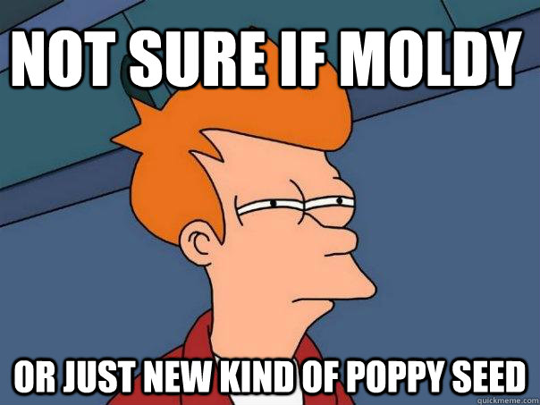 Not sure if moldy or just new kind of poppy seed  Futurama Fry