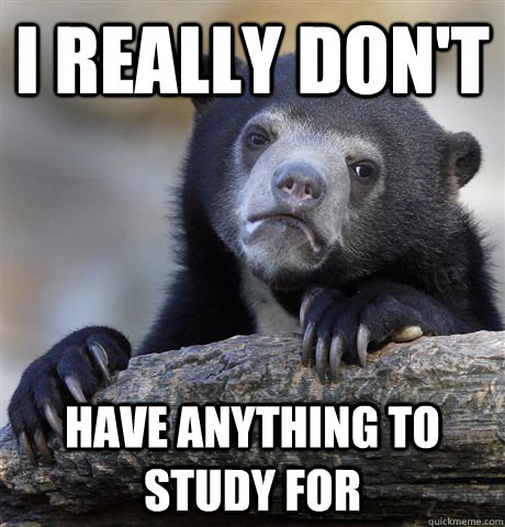 i really don't have anything to study for  Confession Bear