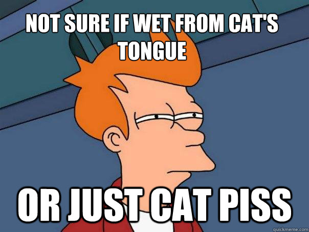 Not sure if wet from cat's tongue Or just cat piss  Futurama Fry