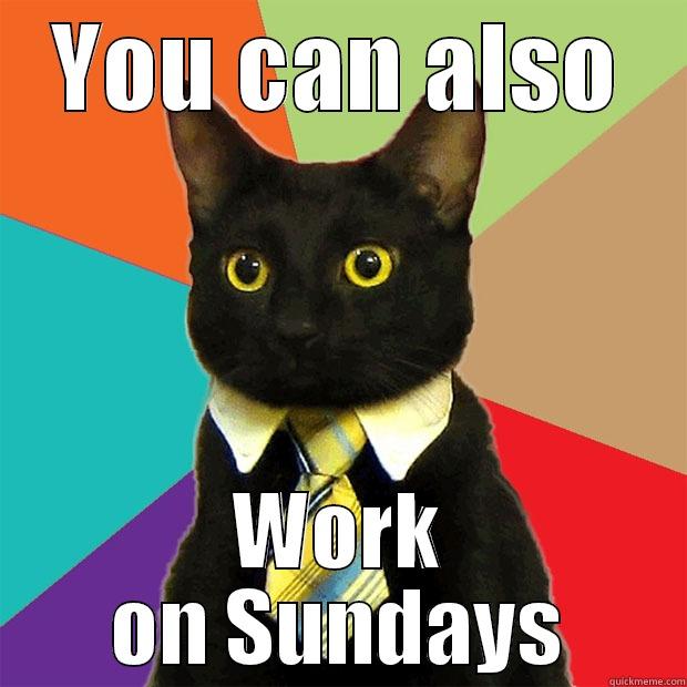 YOU CAN ALSO WORK ON SUNDAYS Business Cat