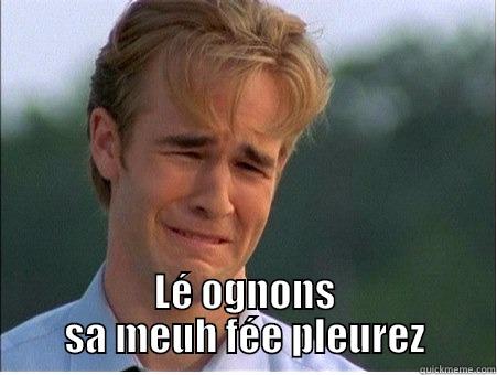  LÉ OGNONS SA MEUH FÉE PLEUREZ 1990s Problems