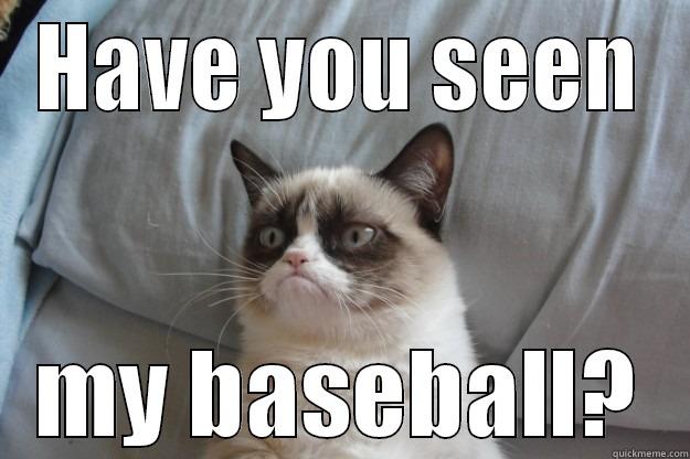 HAVE YOU SEEN MY BASEBALL? Grumpy Cat