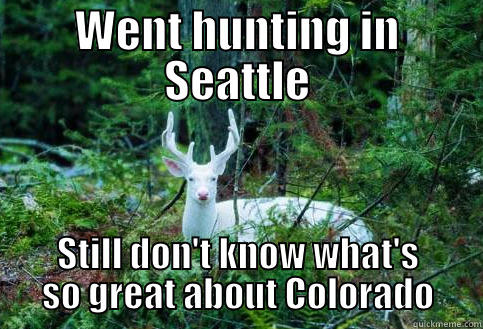 Super deer bowl - WENT HUNTING IN SEATTLE STILL DON'T KNOW WHAT'S SO GREAT ABOUT COLORADO Misc