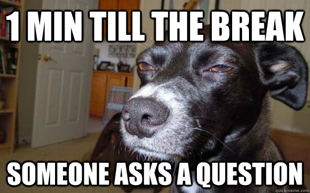 1 min till the break someone asks a question  Skeptical Mutt