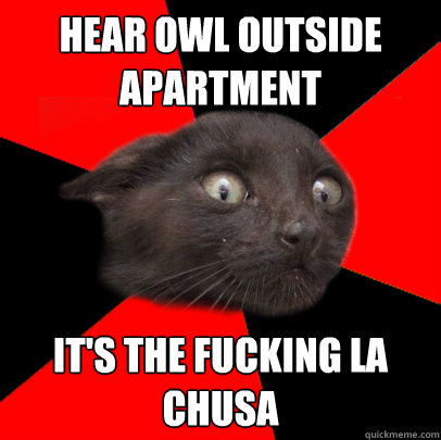 Hear Owl Outside Apartment It's the fucking La Chusa  Scaredy cat