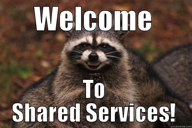 WELCOME TO SHARED SERVICES! Evil Plotting Raccoon