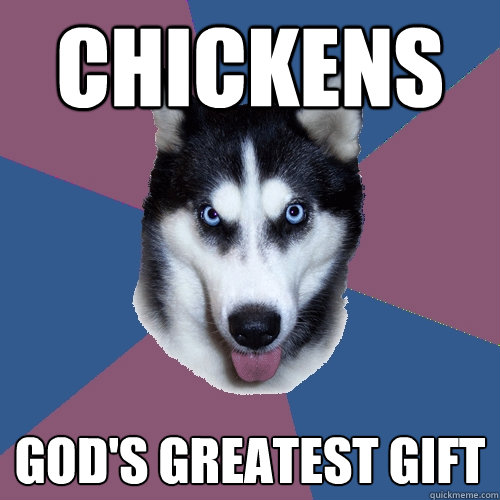 Chickens God's greatest gift
 - Chickens God's greatest gift
  Creeper Canine