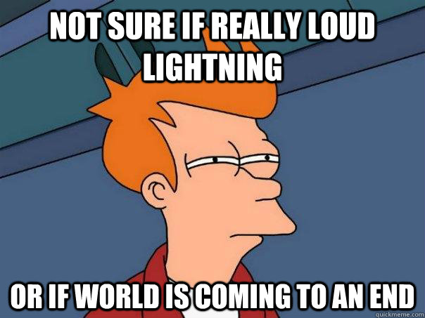 Not sure if really loud lightning or if world is coming to an end - Not sure if really loud lightning or if world is coming to an end  Futurama Fry