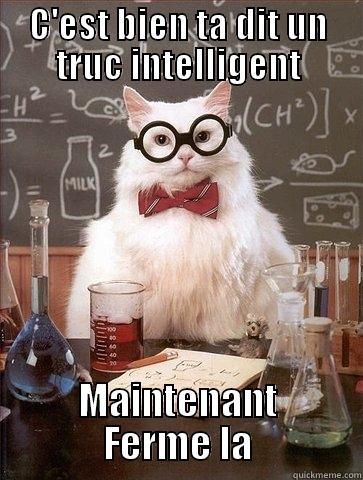 C'EST BIEN TA DIT UN TRUC INTELLIGENT MAINTENANT FERME LA Chemistry Cat