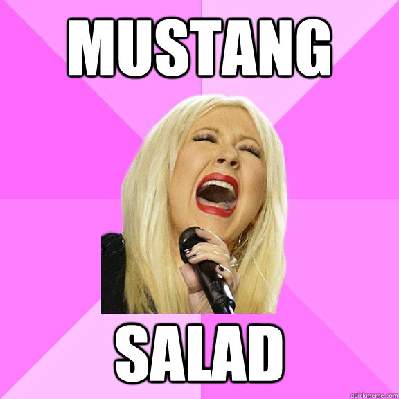 Mustang Salad  Wrong Lyrics Christina