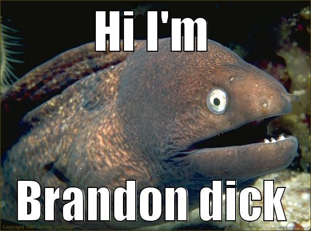 hey brownies! - HI I'M BRANDON DICK Bad Joke Eel