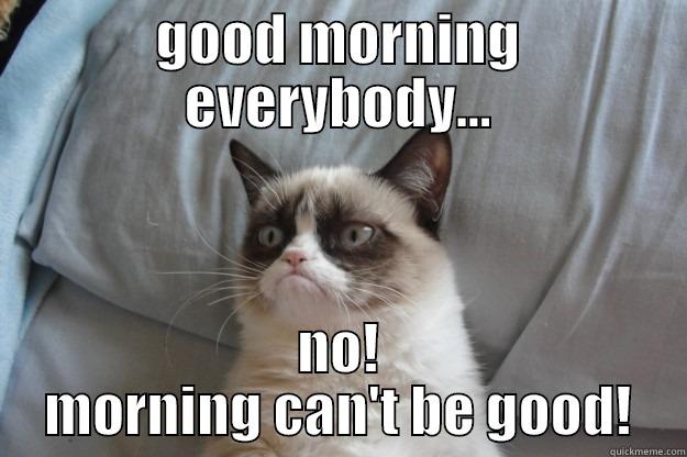 GOOD MORNING EVERYBODY... NO! MORNING CAN'T BE GOOD! Grumpy Cat