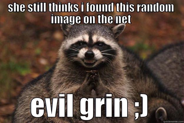 SHE STILL THINKS I FOUND THIS RANDOM IMAGE ON THE NET EVIL GRIN ;) Evil Plotting Raccoon