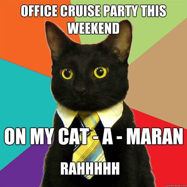 office cruise party this weekend on my cat - a - maran rahhhhh  Business Cat