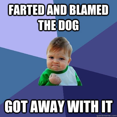 Farted and blamed the dog got away with it  Success Kid