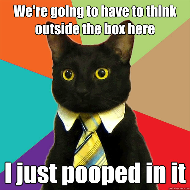 We're going to have to think outside the box here I just pooped in it  Business Cat