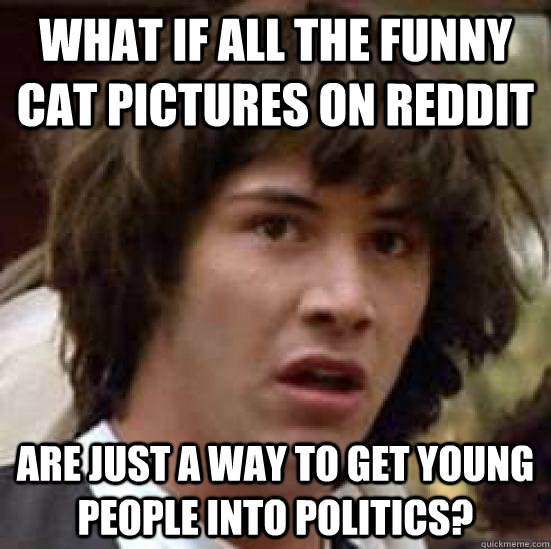 What if all the funny cat pictures on reddit Are just a way to get young people into politics? - What if all the funny cat pictures on reddit Are just a way to get young people into politics?  conspiracy keanu