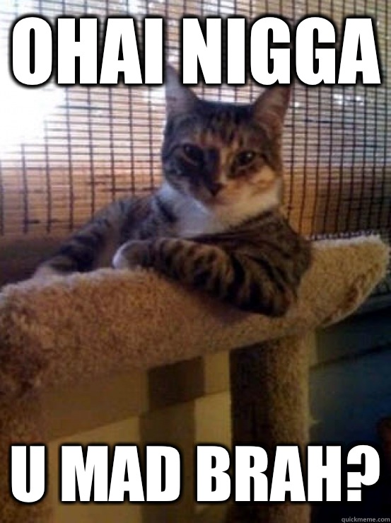 Ohai nigga U mad brah?  The Most Interesting Cat in the World