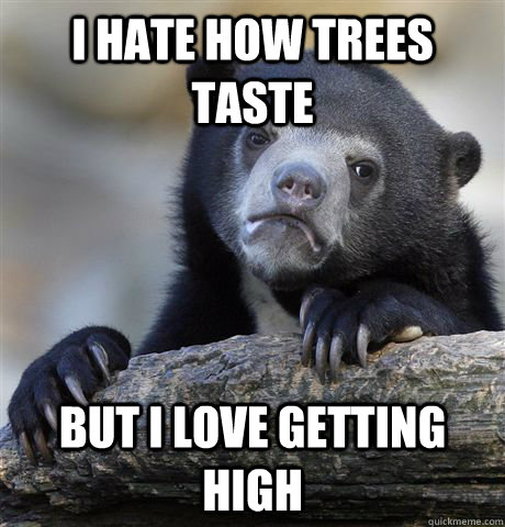 I hate how trees taste But I love getting high  Confession Bear