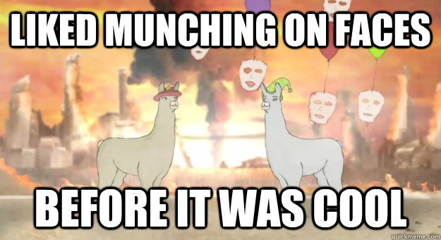 LIKED MUNCHING ON FACES BEFORE IT WAS COOL - LIKED MUNCHING ON FACES BEFORE IT WAS COOL  Llamas with Hats Faces