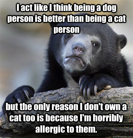 I act like I think being a dog person is better than being a cat person but the only reason I don't own a cat too is because I'm horribly allergic to them.  Confession Bear