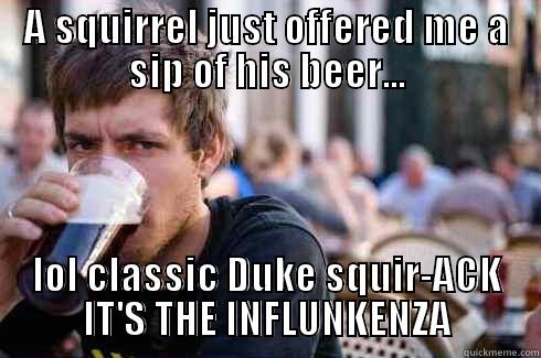 A SQUIRREL JUST OFFERED ME A SIP OF HIS BEER... LOL CLASSIC DUKE SQUIR-ACK IT'S THE INFLUNKENZA Lazy College Senior