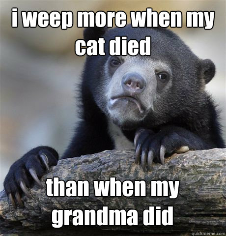 i weep more when my cat died than when my grandma did - i weep more when my cat died than when my grandma did  Confession Bear