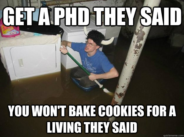 get a phd they said  you won't bake cookies for a living they said - get a phd they said  you won't bake cookies for a living they said  Do the laundry they said