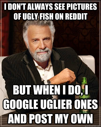 I don't always see pictures of ugly fish on reddit but when i do, i google uglier ones and post my own  The Most Interesting Man In The World