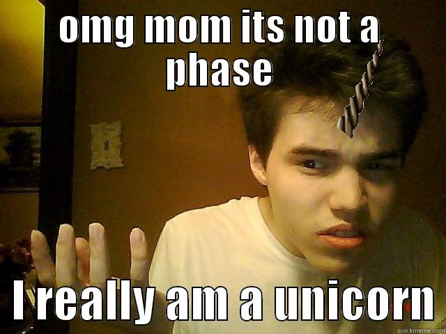 OMG MOM ITS NOT A PHASE   I REALLY AM A UNICORN Misc