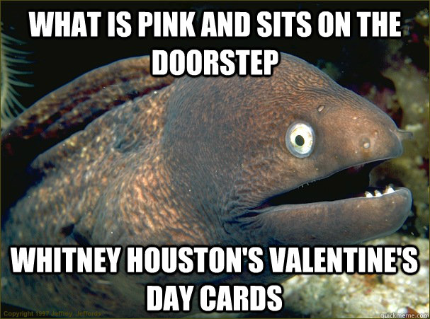 What is pink and sits on the doorstep Whitney Houston's Valentine's Day Cards  Bad Joke Eel