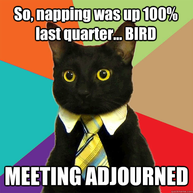 So, napping was up 100% last quarter... BIRD MEETING ADJOURNED  Business Cat