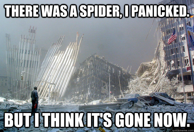 There was a spider, i panicked. But I think it's gone now. - There was a spider, i panicked. But I think it's gone now.  There was a spider 911 meme