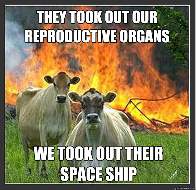 They took out our reproductive organs  We took out their space ship  Evil cows