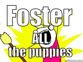 FOSTER ALL THE PUPPIES All The Things