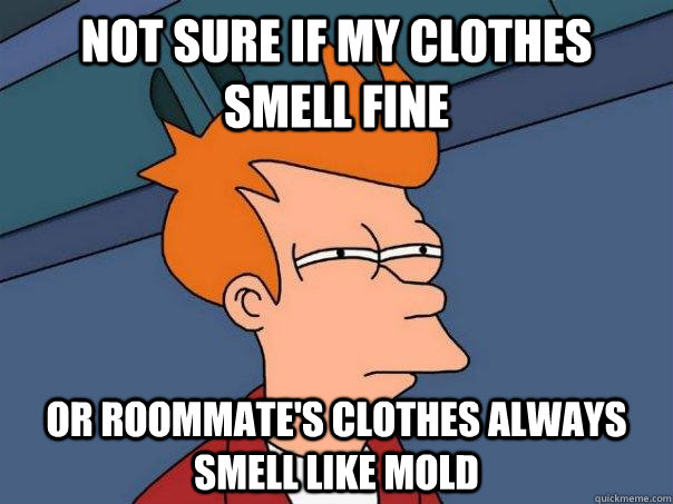 Not sure if my clothes smell fine Or roommate's clothes always smell like mold  Futurama Fry