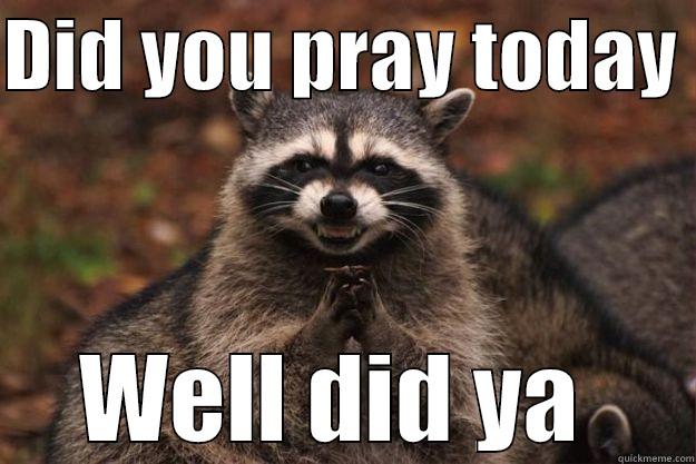 DID YOU PRAY TODAY  WELL DID YA  Evil Plotting Raccoon