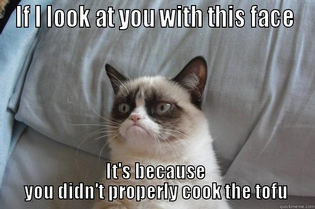 Picky cat - IF I LOOK AT YOU WITH THIS FACE IT'S BECAUSE YOU DIDN'T PROPERLY COOK THE TOFU Grumpy Cat