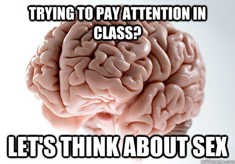 Trying to pay attention in class? Let's think about sex  Scumbag Brain