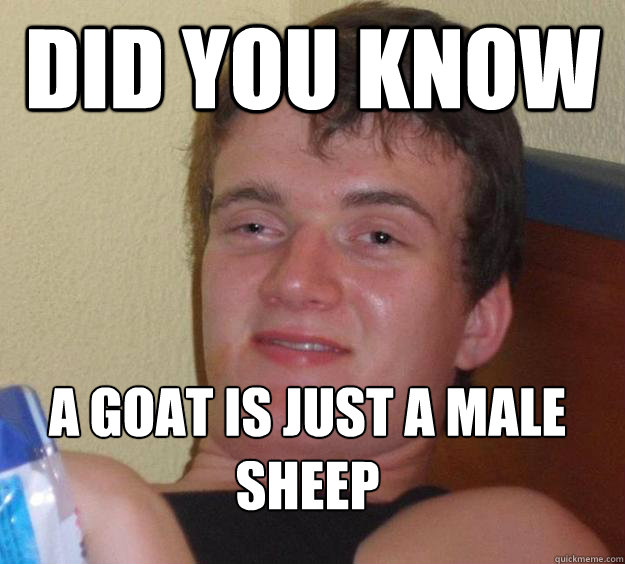 Did you know A goat is just a male sheep
  10 Guy