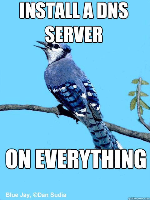 install a dns server on everything   Blue Team Bird