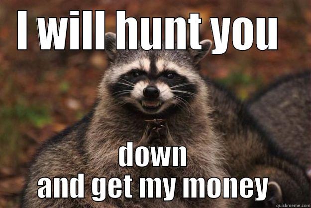 I WILL HUNT YOU  DOWN AND GET MY MONEY Evil Plotting Raccoon