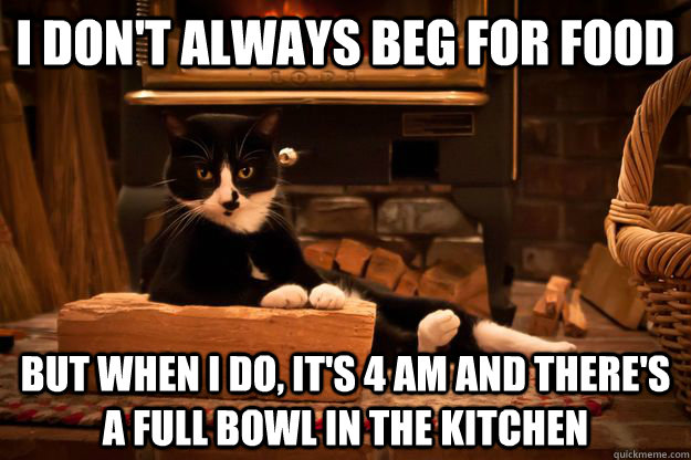 I don't always beg for food But when I do, it's 4 AM and there's a full bowl in the kitchen  - I don't always beg for food But when I do, it's 4 AM and there's a full bowl in the kitchen   Misc