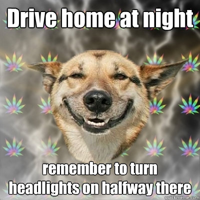 Drive home at night remember to turn headlights on halfway there  Stoner Dog