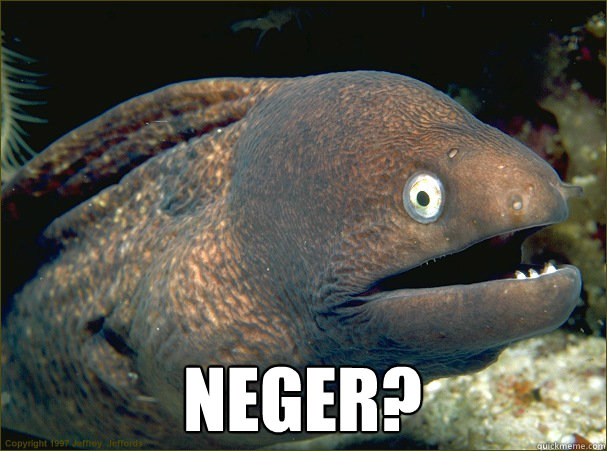  Neger?  Bad Joke Eel