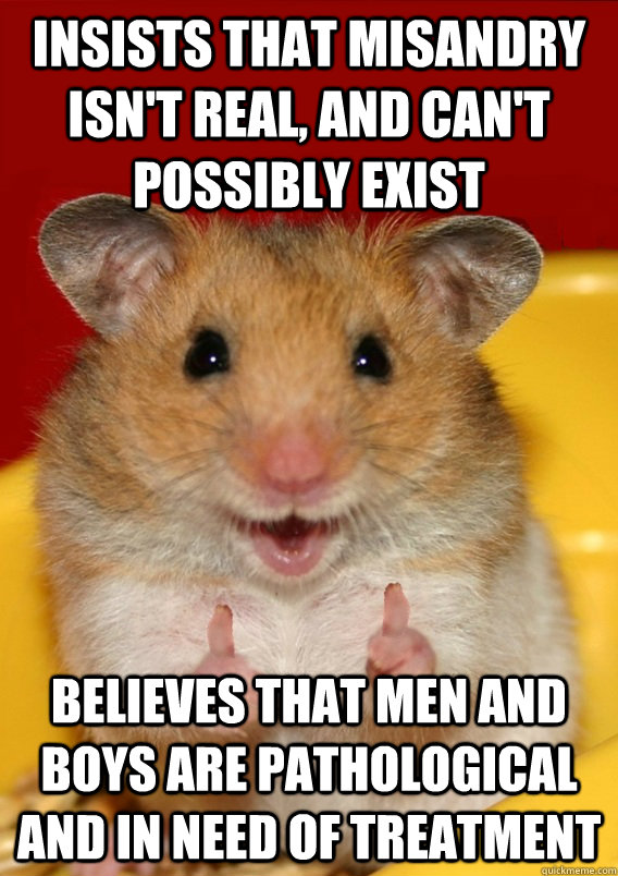 insists that misandry isn't real, and can't possibly exist believes that men and boys are pathological and in need of treatment   - insists that misandry isn't real, and can't possibly exist believes that men and boys are pathological and in need of treatment    Rationalization Hamster