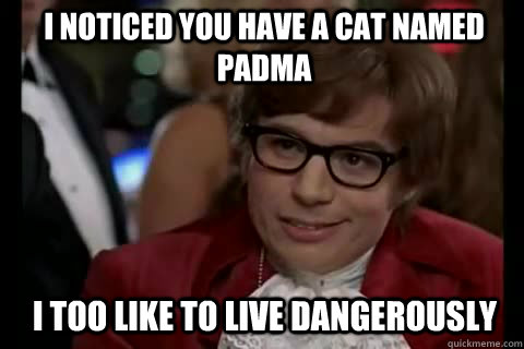 I noticed you have a cat named padma i too like to live dangerously  Dangerously - Austin Powers