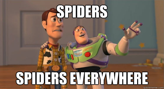 spiders spiders everywhere  